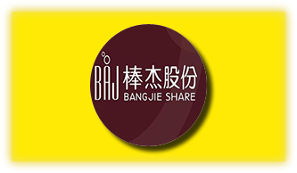 棒杰股份：财务业务一体化项目