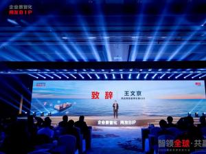 王文京：生态共荣 产品第一