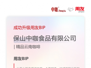 保山中咖升级用友BIP公有云：以数智跃迁，赋能企业高质量发展