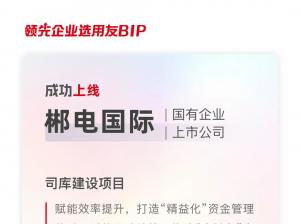 用友助力郴电国际司库建设项目成功上线，战略合作开启数智化转型新征程